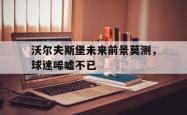 IM电竞app 官方网-沃尔夫斯堡未来前景莫测，球迷唏嘘不已