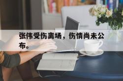 IM电竞app 官方网-张伟受伤离场，伤情尚未公布。