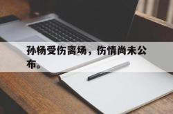 IM电竞下载-孙杨受伤离场，伤情尚未公布。