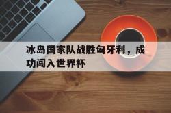 IM电竞app 官方网-冰岛国家队战胜匈牙利，成功闯入世界杯
