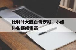 IM电竞下载-比利时大胜白俄罗斯，小组排名继续攀高